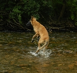 Saltando en el rio