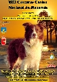 Concurso: XIII CONCURSO CANINO NACIONAL DE MAZARRON