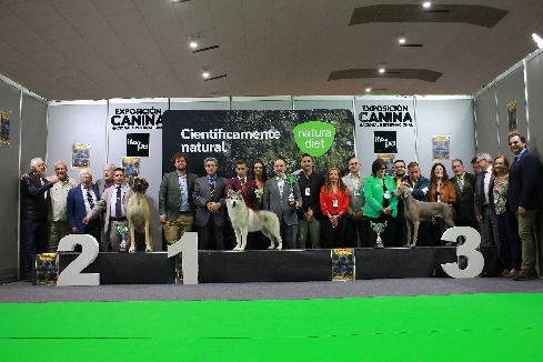 Canina Murciana Juez: 
