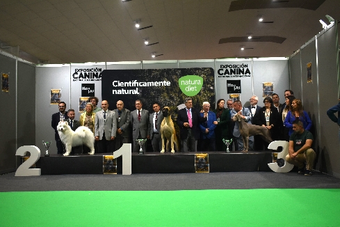 Canina Murciana Juez: 