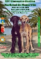 Concurso:  CONCURSO NACIONAL DE MAZARRON