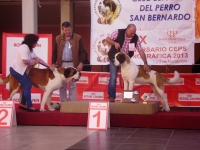 Canina Murciana Juez: Javier Sainz Roble