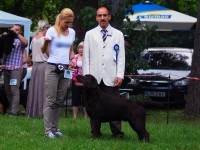 Canina Murciana Juez: Enrico  Drudi