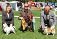 Canina Murciana Juez: Valerio Nataletti