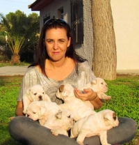 Canina Murciana Juez: Sonia Cruz Pay
