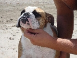 Prada en la playa