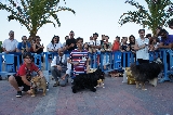 Actividad: Sociedad Canina de Murcia
