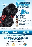 Actividad: Sociedad Canina de Murcia