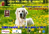Actividad: Sociedad Canina de Murcia