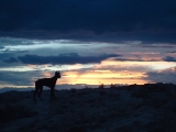 atardecer con neo