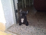 curioseando