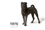 nano de shar pei arcecam