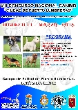 Actividad: Sociedad Canina de Murcia