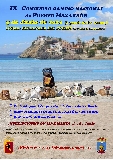 Actividad: Sociedad Canina de Murcia
