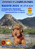 Actividad: Sociedad Canina de Murcia