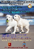 Actividad: Sociedad Canina de Murcia