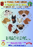 Actividad: Sociedad Canina de Murcia
