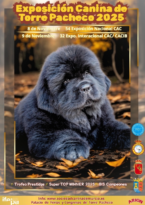 Contact: EXPOSICION CANINA INTERNACIONAL -CACIB- DE TORRE PACHECO - OTOÑO 2025
