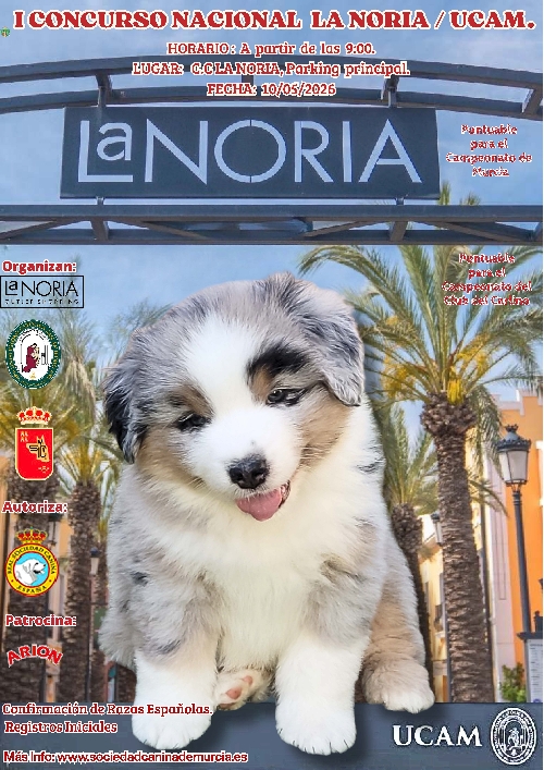 Contact: I CONCURSO CANINO NACIONAL LAS NORIAS/UCAM
