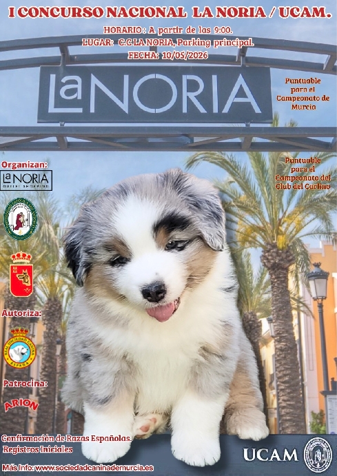 Canina Murciana Juez: 